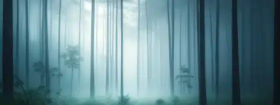 A serene and soothing scene of rain and thunder in a foggy forest