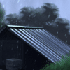 Rain on small tin roof cabin without thunder